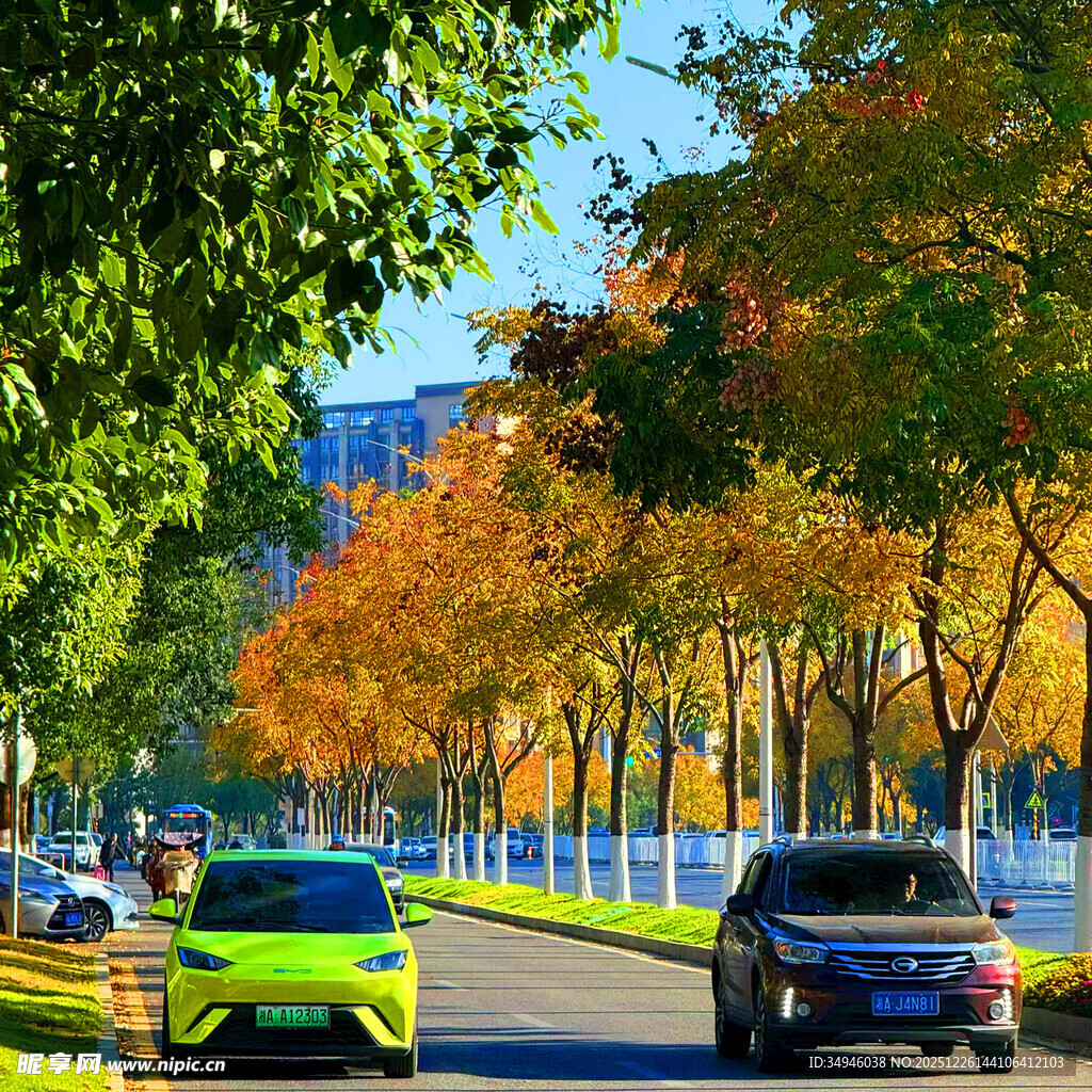 秋日街道上行驶的多彩车辆