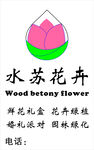 水苏花卉品牌标志设计