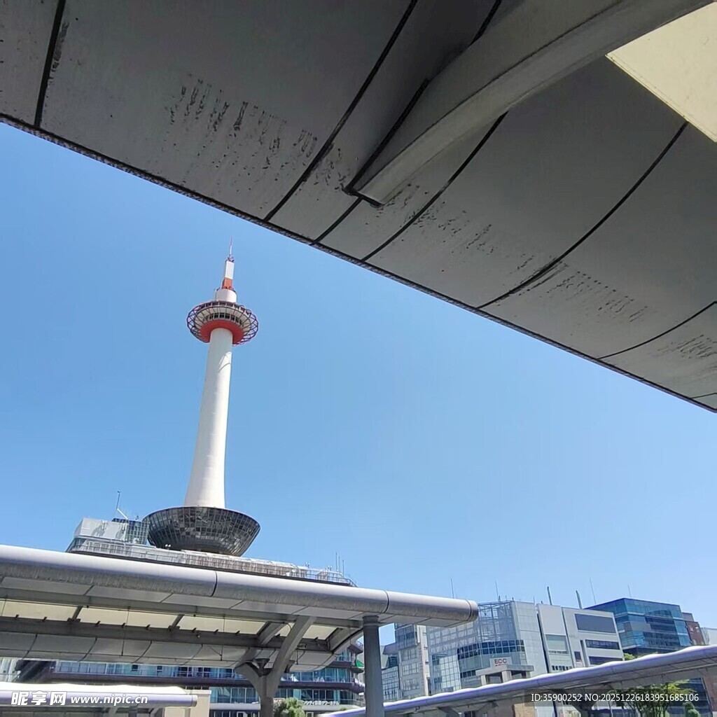 城市中高耸的独特地标建筑