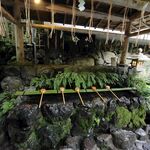 日式庭院绿植景观