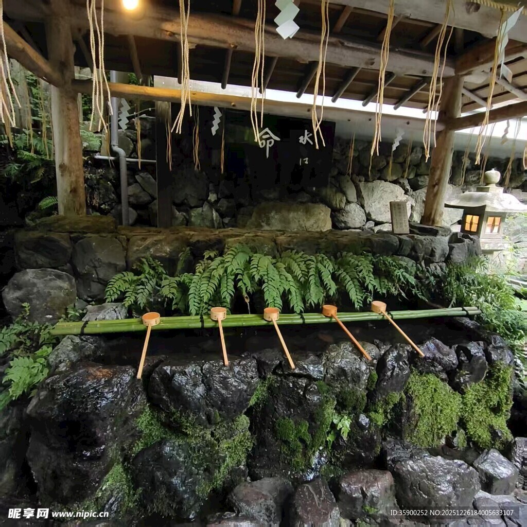 日式庭院绿植景观