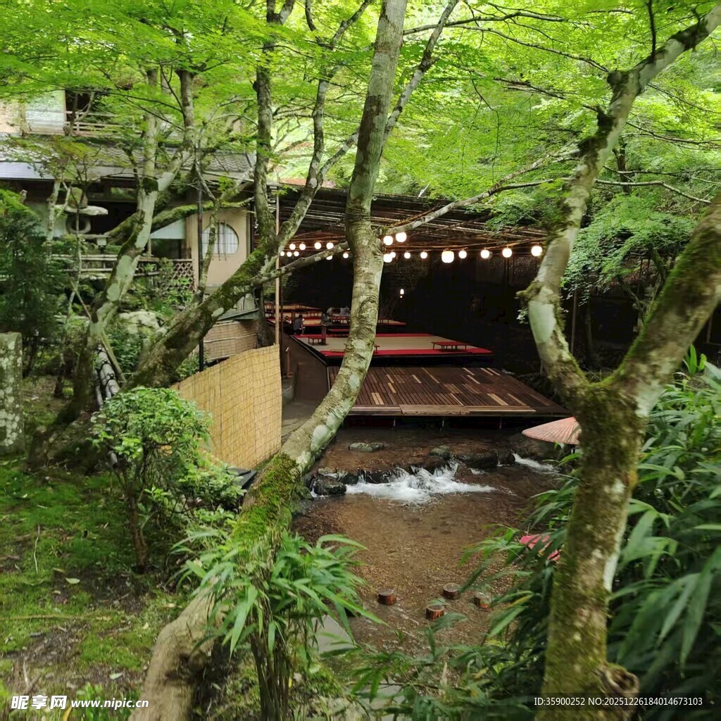 林间日式建筑静景