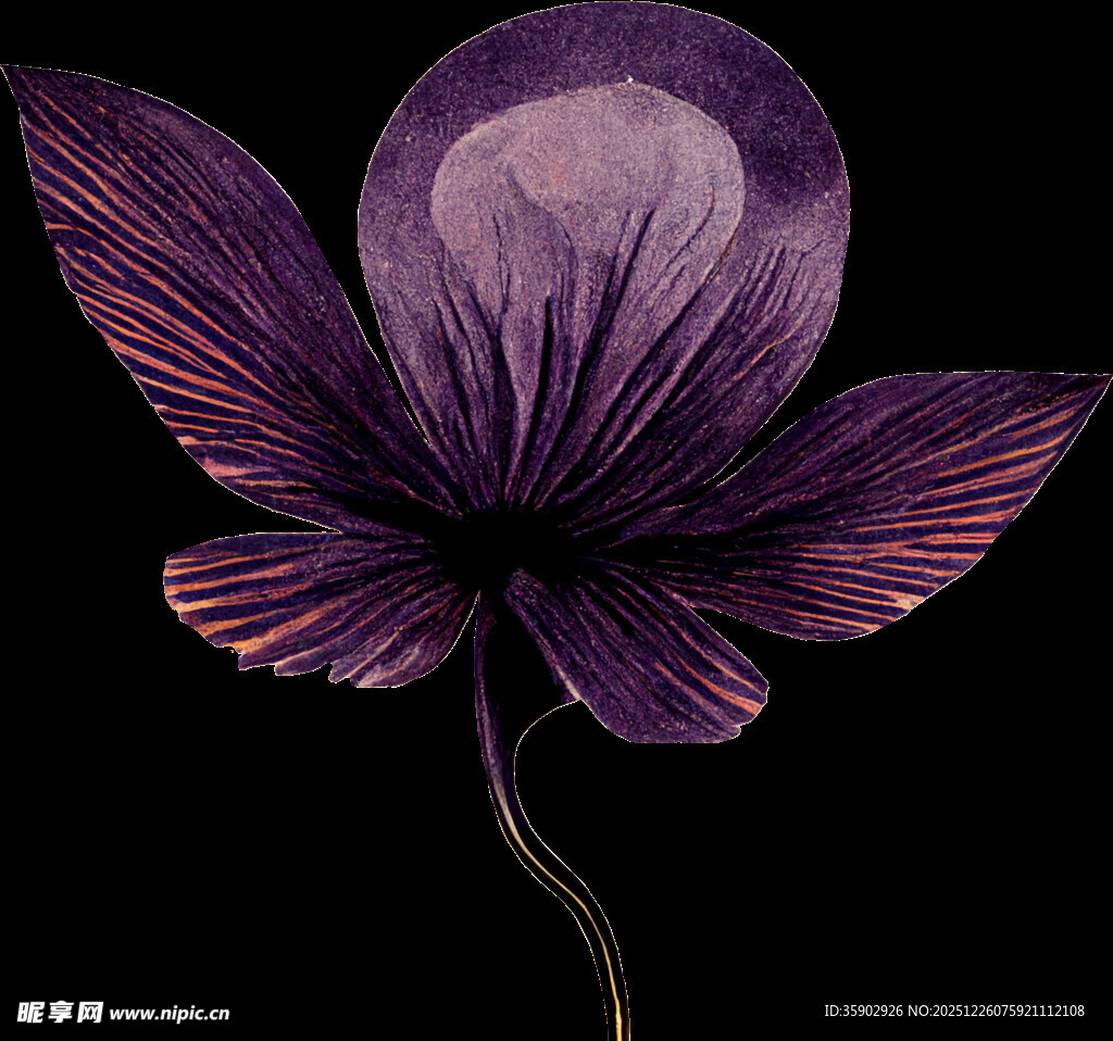 紫色梦幻花朵插画