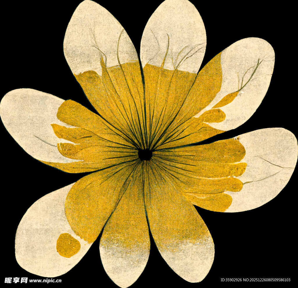 抽象黄白花朵图案
