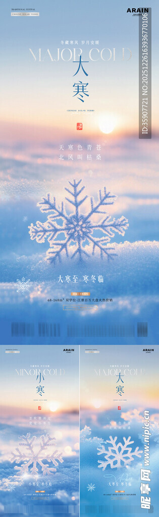 地产小寒大寒雪地雪花风景海报