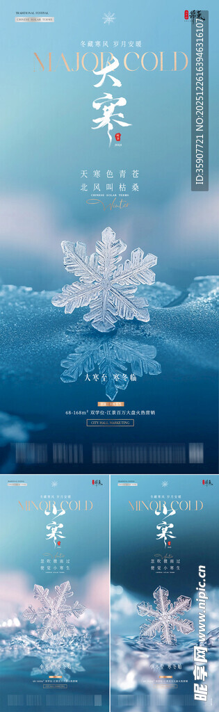 地产小寒大寒雪花意境海报