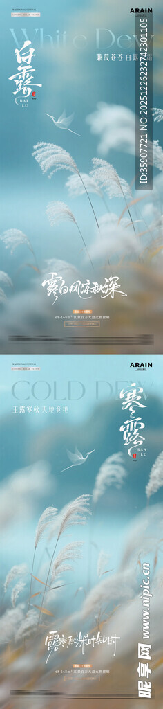 地产白露寒露芦苇风景海报