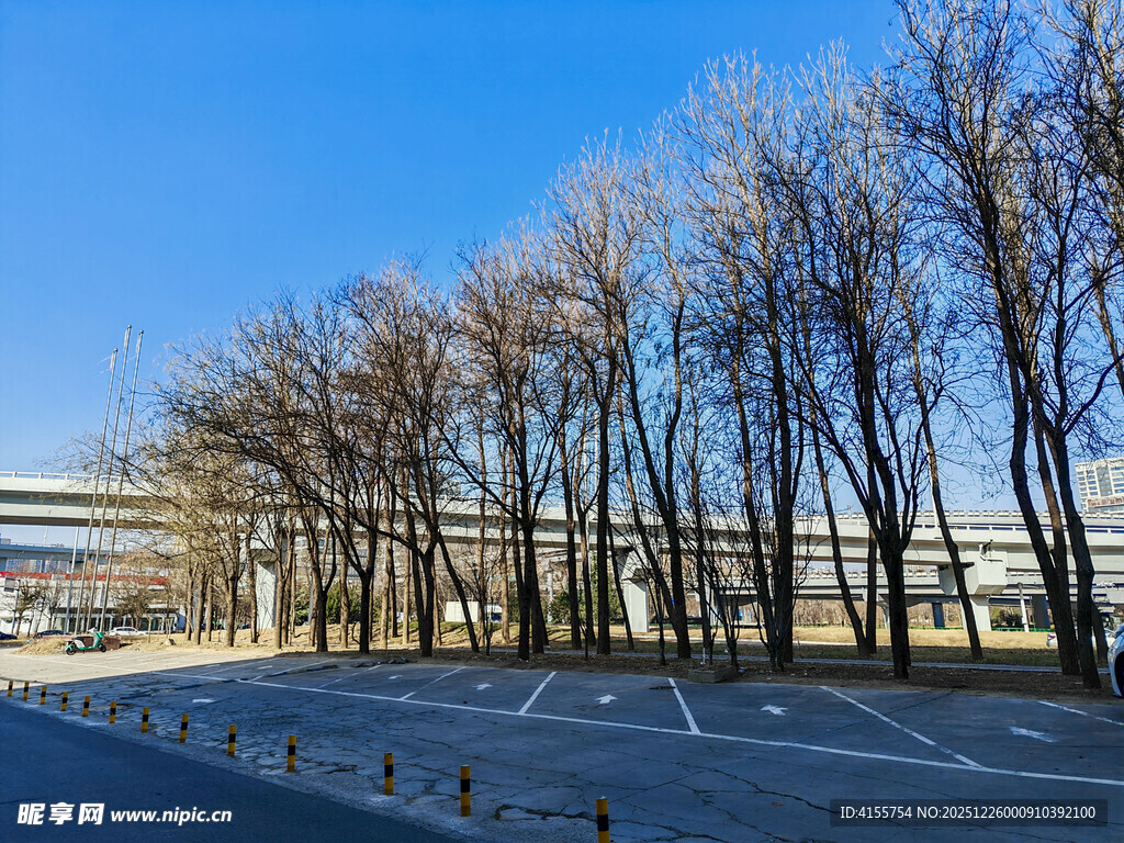 冬日空旷停车场与光秃树木