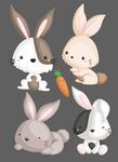 可爱兔子插画