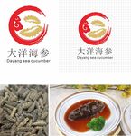 大洋海参展示与菜品呈现