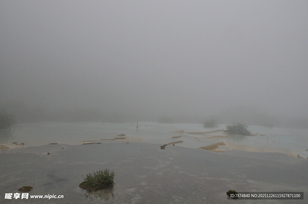 雾气弥漫的荒凉景观