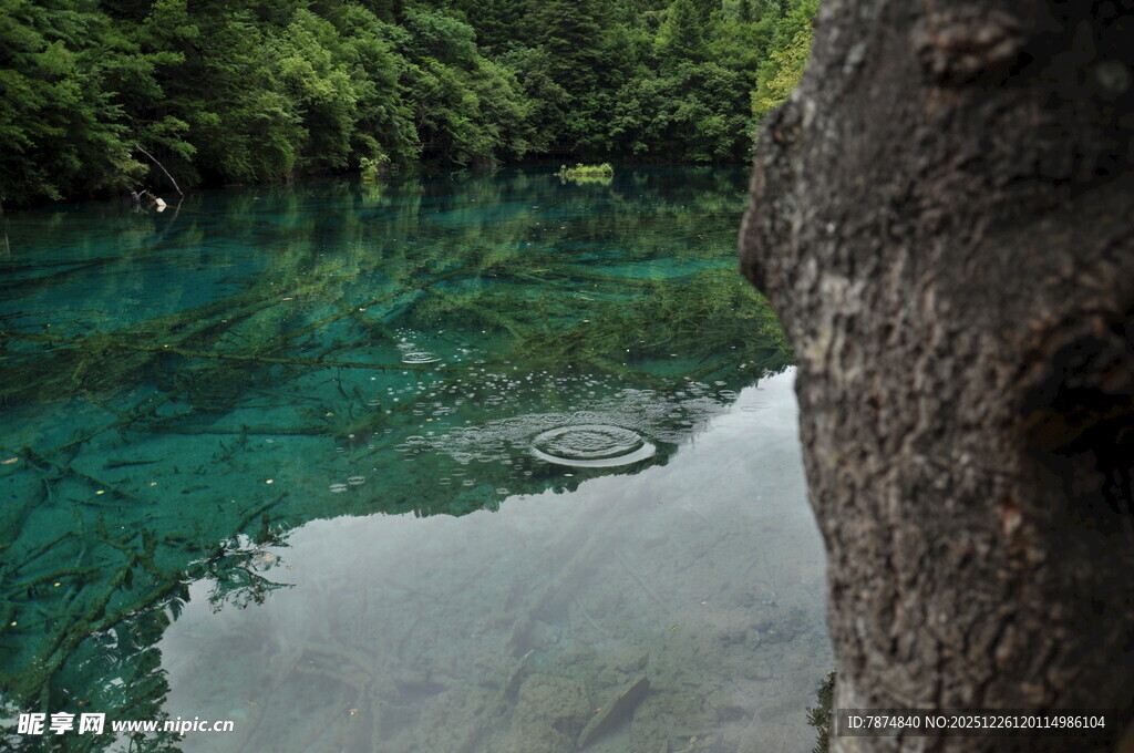 清澈碧绿的山间幽潭