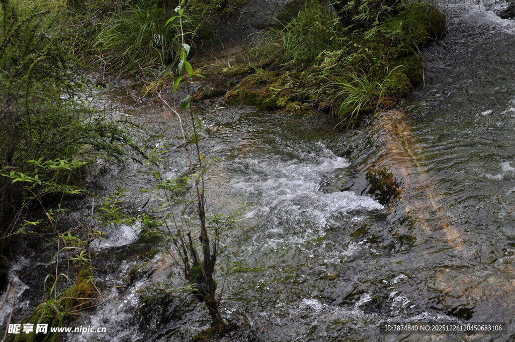 山间潺潺溪流