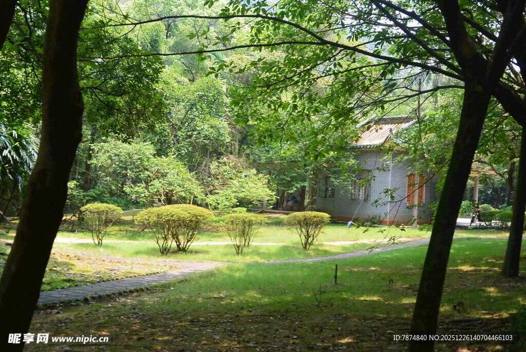 林间静谧庭院景观
