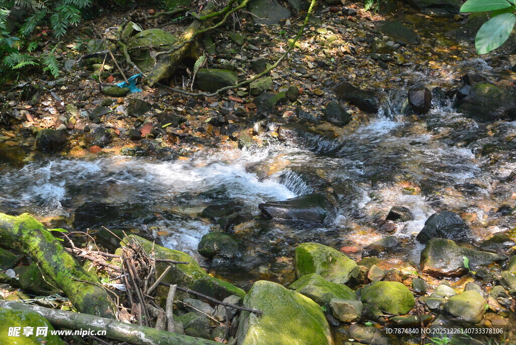 山间潺潺溪流与绿植