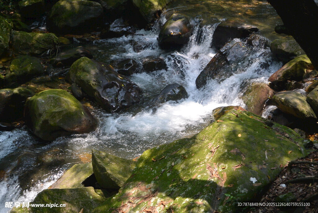 山间溪流潺潺过青苔石
