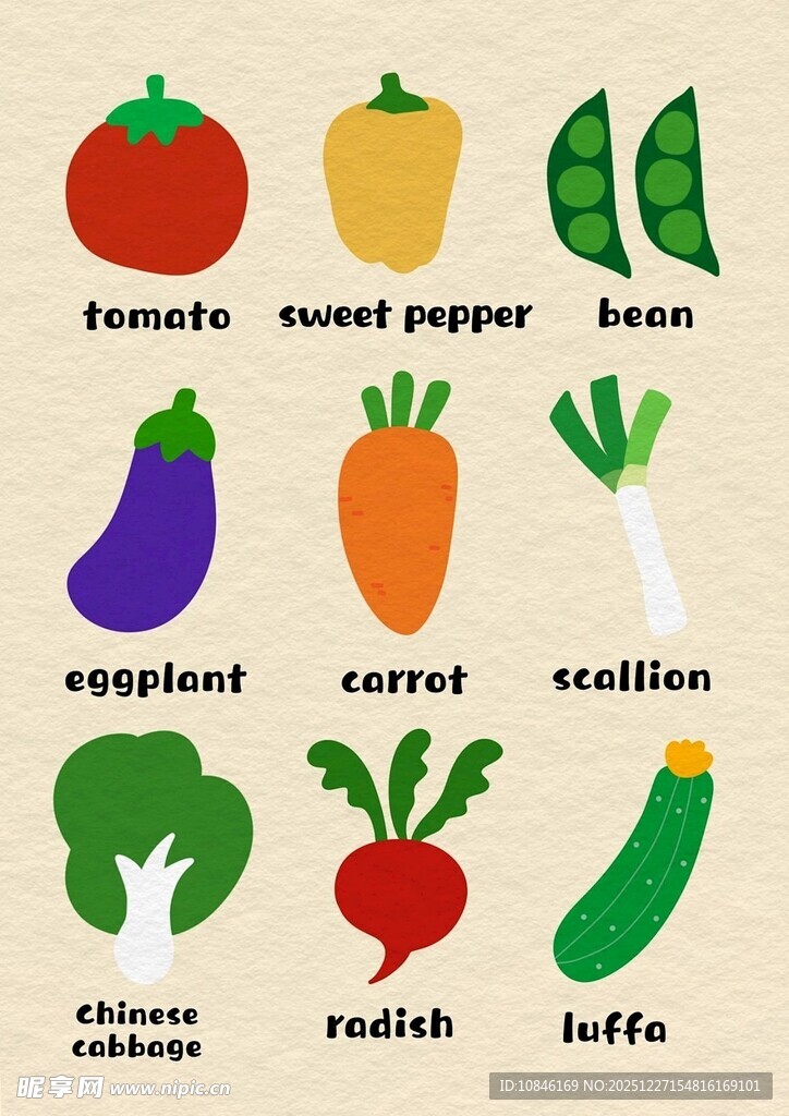 蔬菜插画