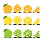柑橘水果图案