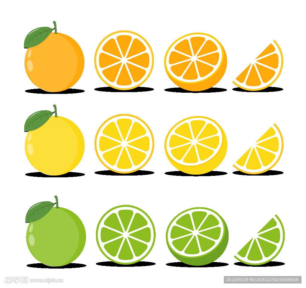 柑橘水果图案