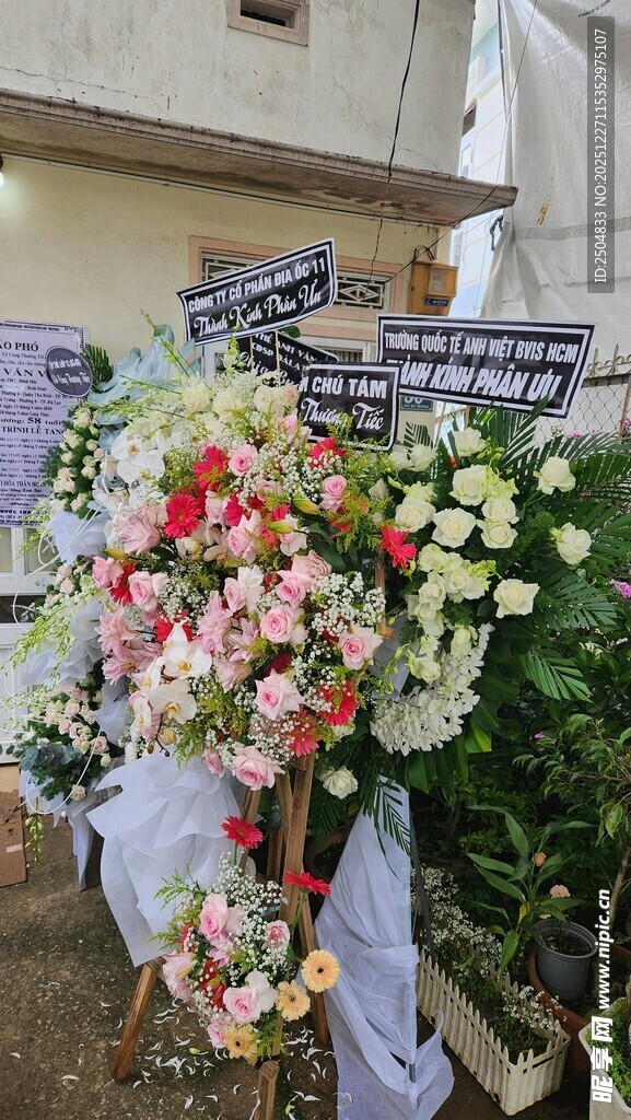 缤纷花束装点温馨场景