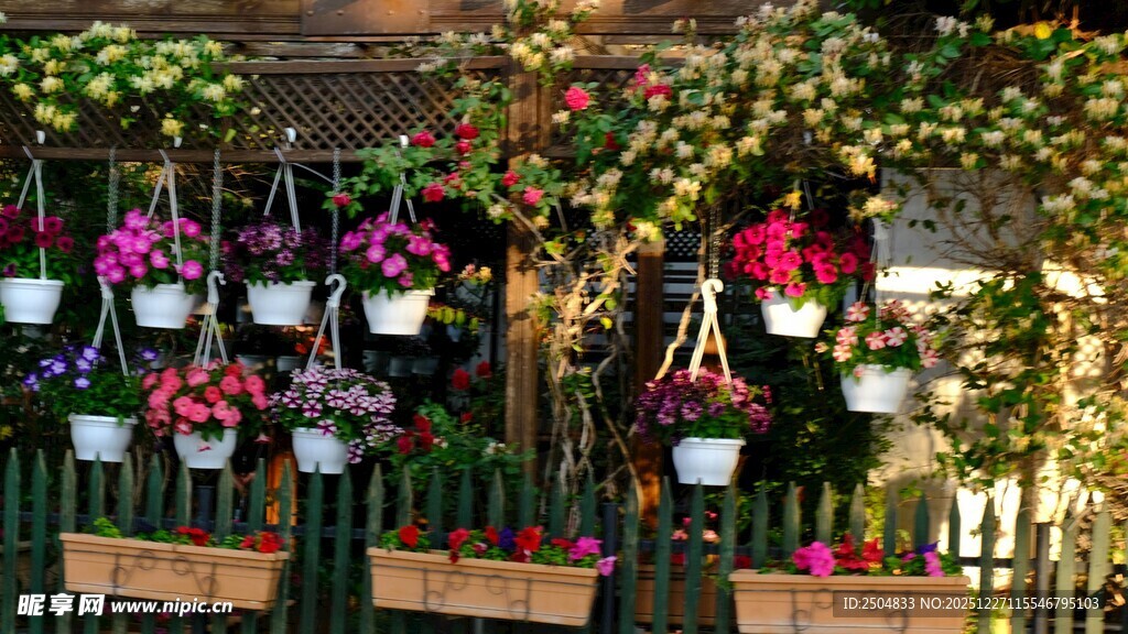 多彩盆栽装点的迷人角落