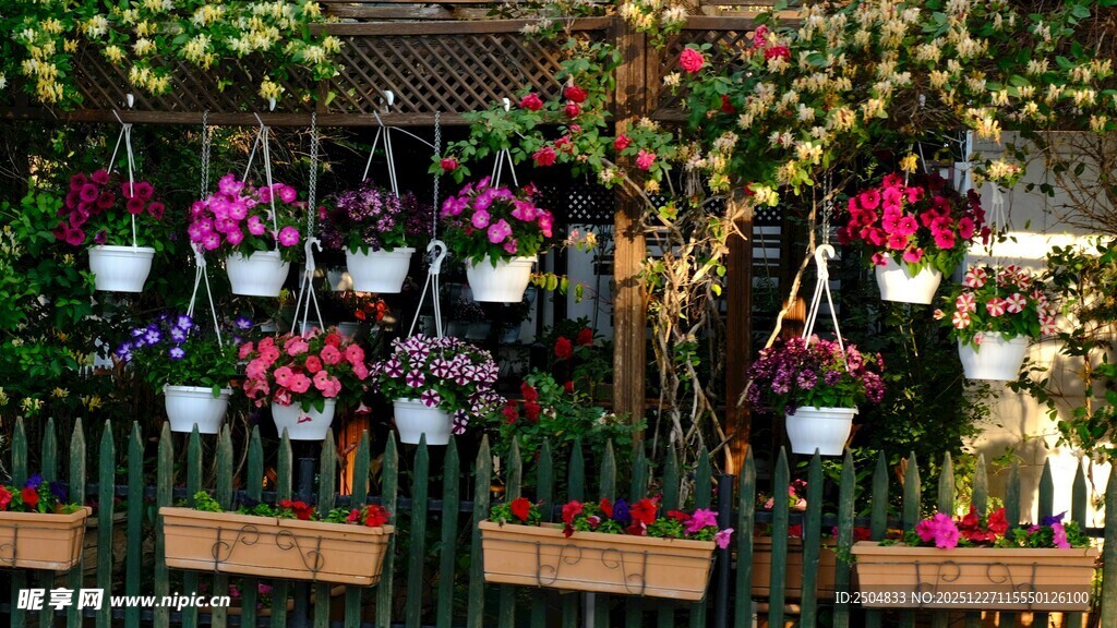 缤纷盆栽装点温馨小角落