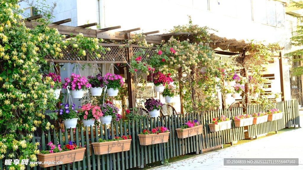 街边多彩花卉绿植小景