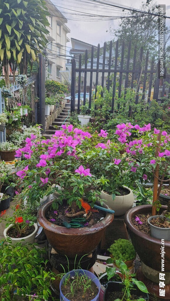 多彩盆栽装点的庭院角落