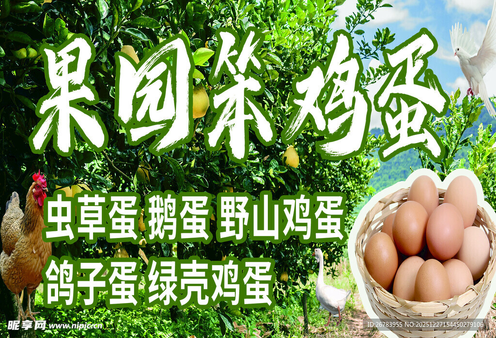 果园柴鸡蛋天然好滋味