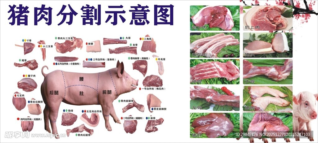 猪肉分割示意图展示