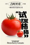 新鲜草莓番茄促销宣传海报