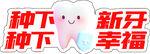 种下新牙收获幸福时刻