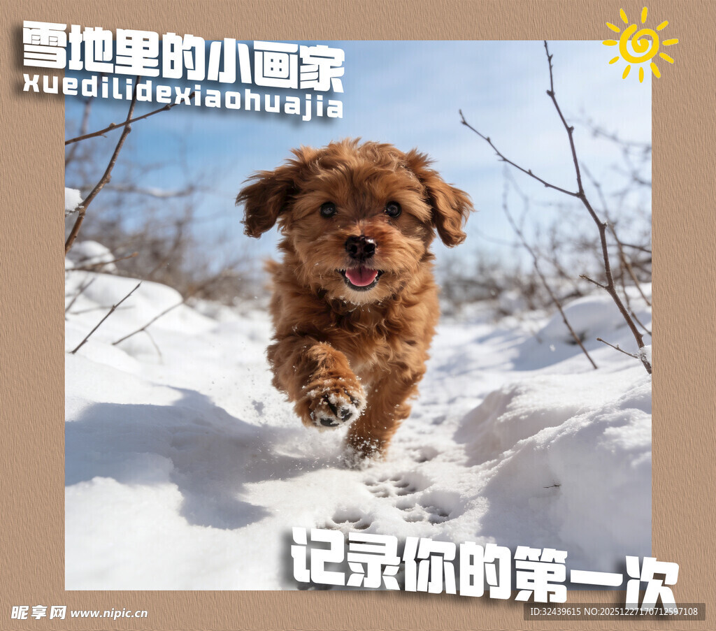 雪地撒欢的小萌狗