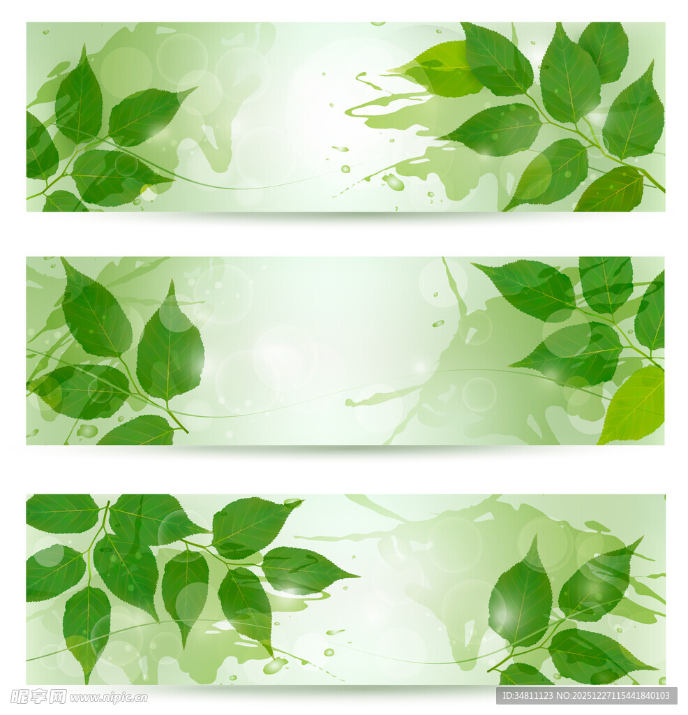 绿叶清新横幅