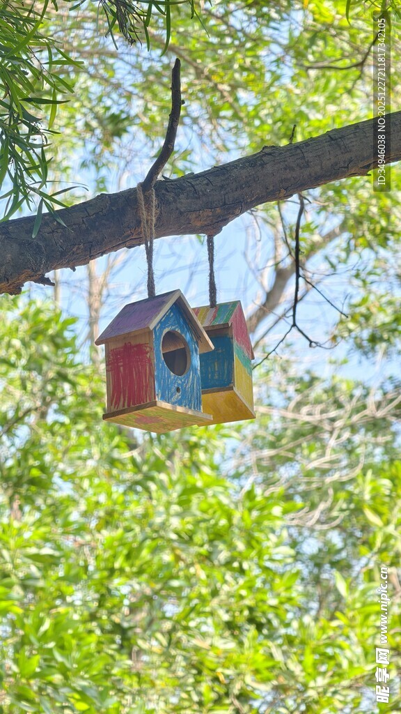 树上彩色小鸟屋