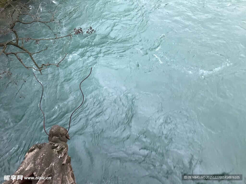 清澈河水中的漂浮木头