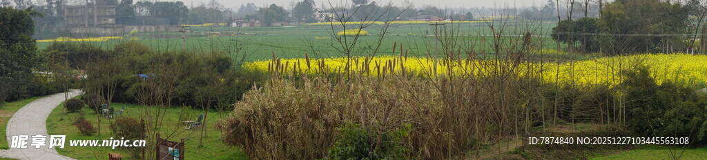 春日田野风光美景