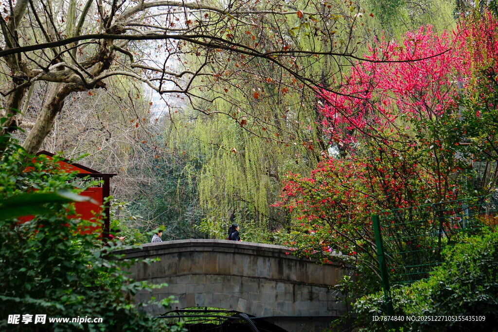 春日石桥旁的烂漫景致