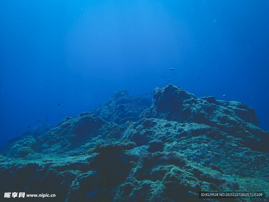 深海中的神秘礁石景观