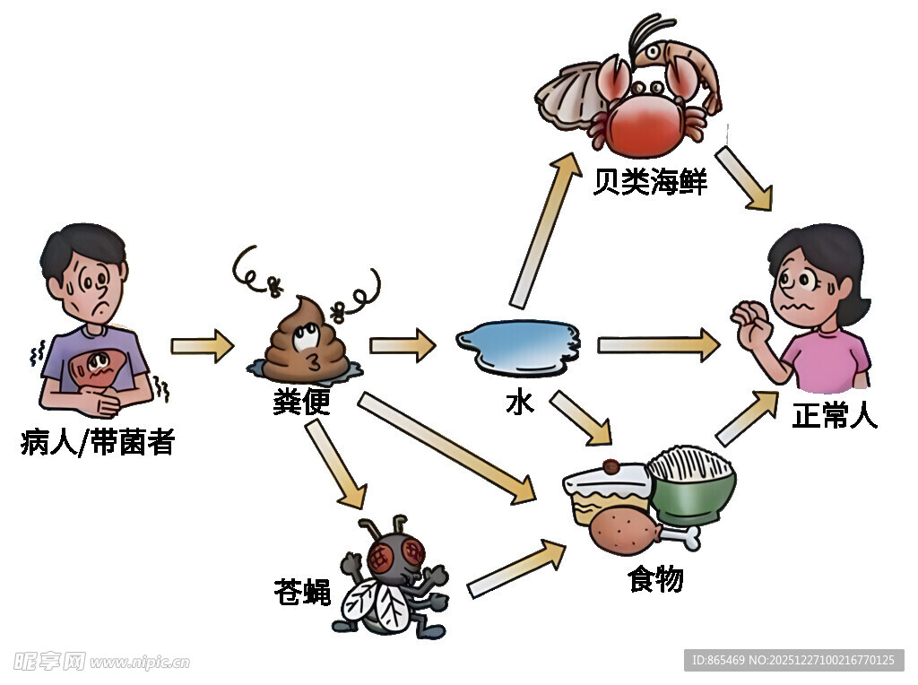 伤寒产生流程图