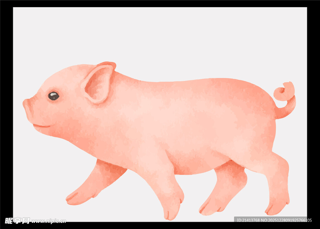 可爱行走小猪插画