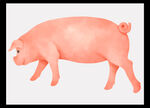 粉色小猪插画