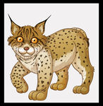 悠闲青蛙躺荷叶