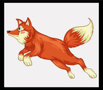 奔跑的红狐狸