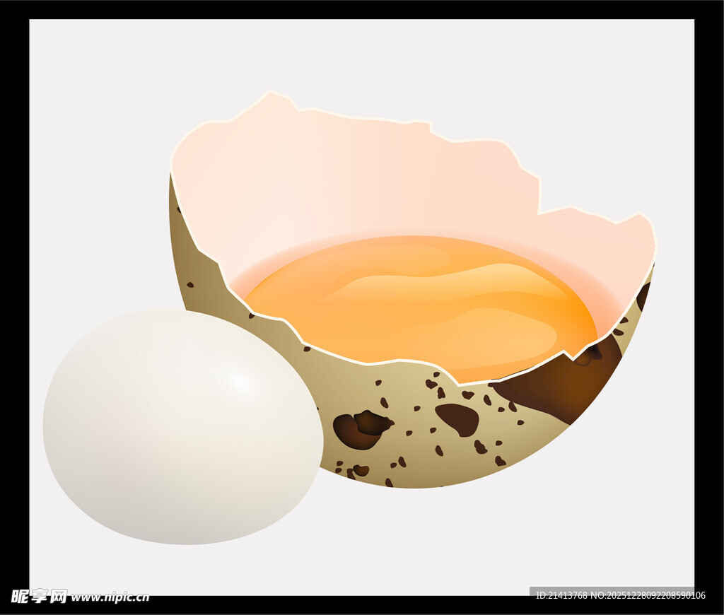 破裂鹌鹑蛋与完整鹌鹑蛋