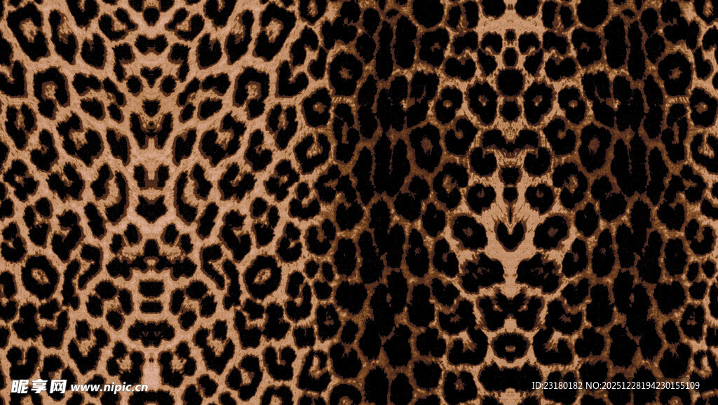 豹纹图案纹理特写