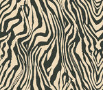 斑马纹图案纹理背景