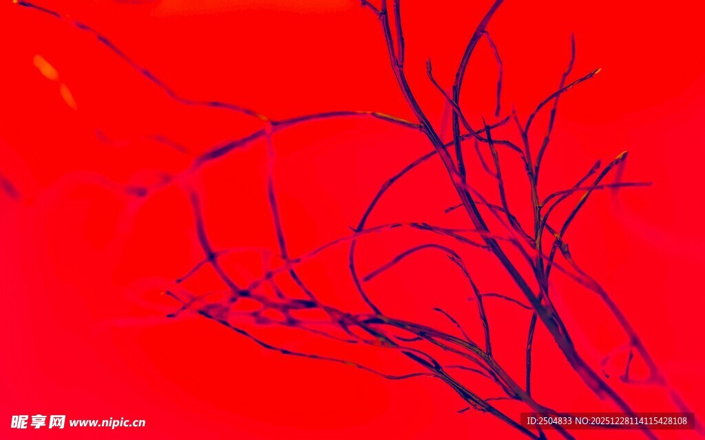 红底蓝枝抽象艺术画面
