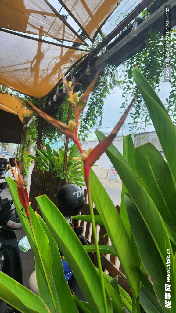 室内绿植景观一角