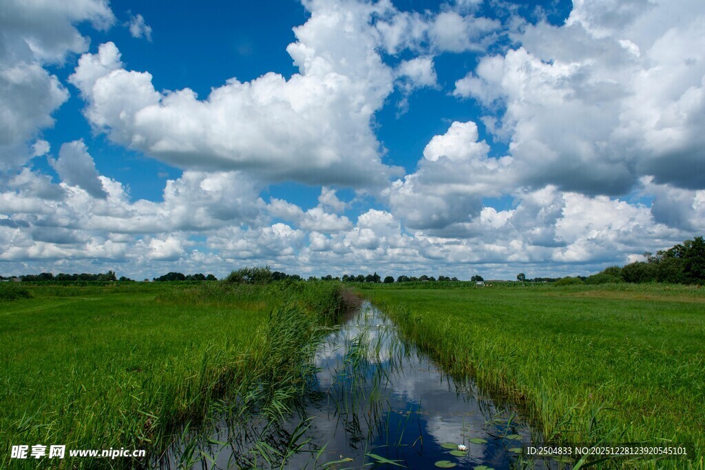 绿野间的清澈溪流